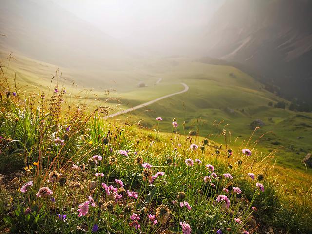 Südtirol hat sowohl für Anfänger als auch für anspruchsvolle Biker zahlreiche tolle Trails und Touren zu bieten.