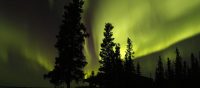 Kanada steuert in 2024 auf neuen Höhepunkt der Aurora-Aktiv...