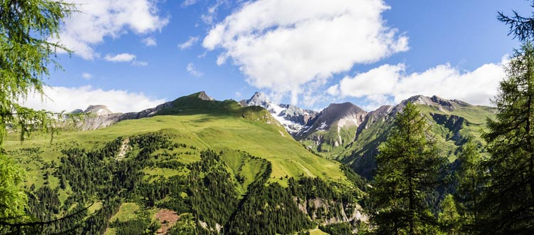 Abenteuer Raurisertal – wo Berge rufen, Wasser plätschert und Geier kreisen