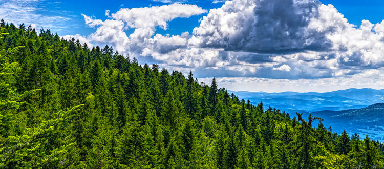 An einem Tag über acht Tausender wandern Gipfelerlebnis am Goldsteig