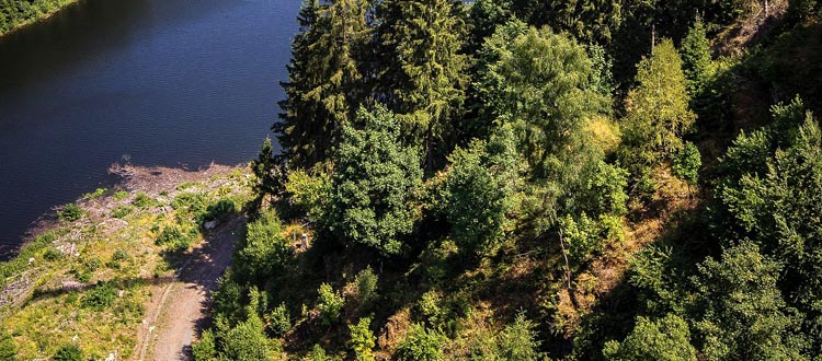 Gravelbiken im Bayerischen Wald – Genussradfahren auf dem Grünen Dach Europas