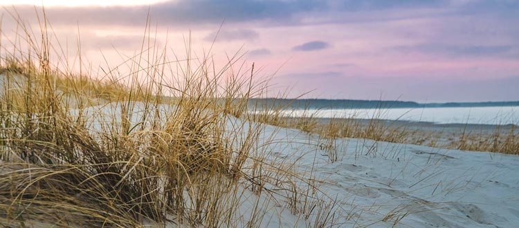 Wohlfühlzeit am Ostseefjord Schlei