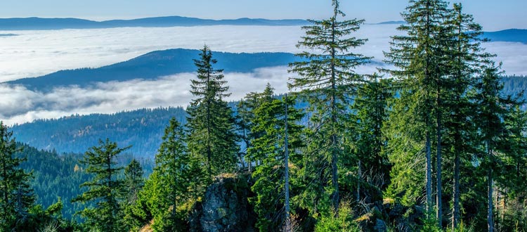 130 Höhepunkte im Bayerischen Wald