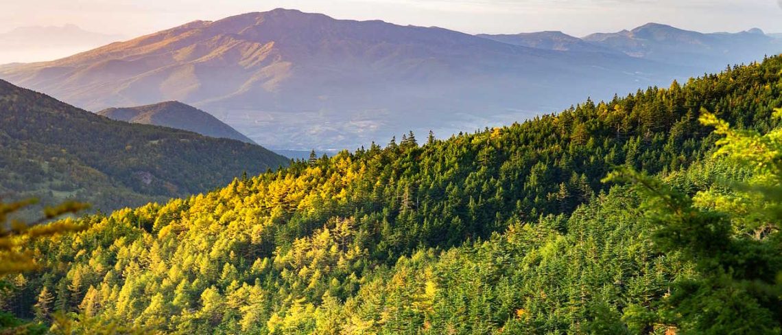 Familienerlebnis auf den Spuren wilder Tiere – Die neun schönsten Tierwanderwege im Bayerischen Wald