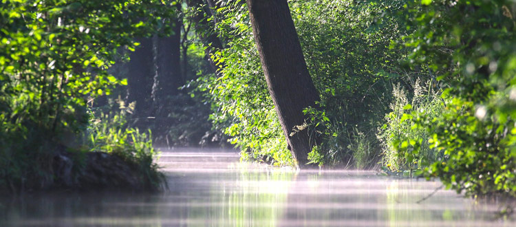 Vulkaneifel statt Island, Spreewald statt Amazonas
